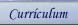 Curriculum